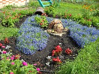 �����������