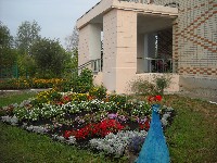 �����������